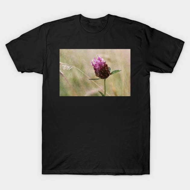 Clover and Wild Grasses T-Shirt by gracethescene